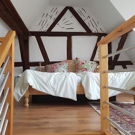 Rheingau - Schoene Moeblierte Ferienwohnung Eltville am Rhein Kültér fotó