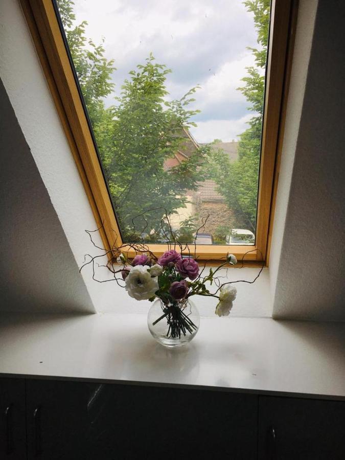 Rheingau - Schoene Moeblierte Ferienwohnung Eltville am Rhein Kültér fotó