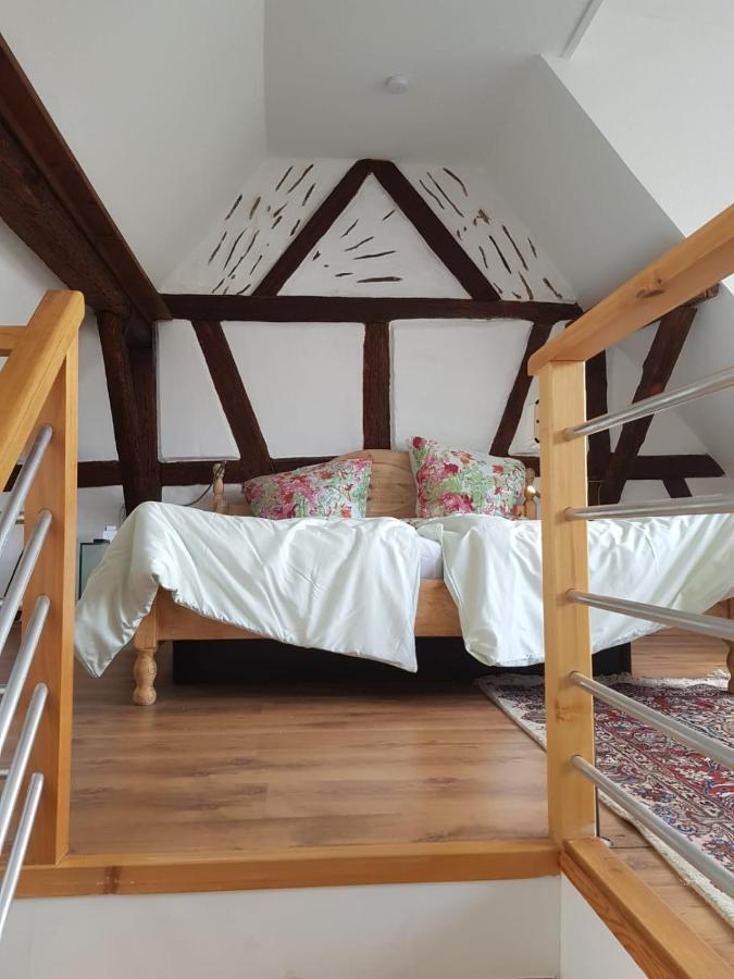 Rheingau - Schoene Moeblierte Ferienwohnung Eltville am Rhein Kültér fotó